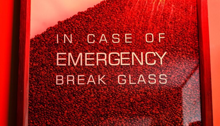 Emergency Window Replacement – Fast & Professional Service