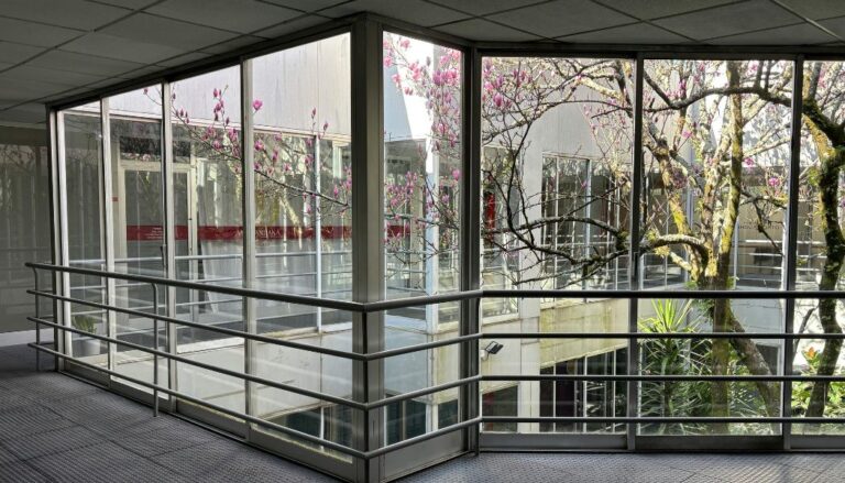 Commercial Energy Efficient Windows