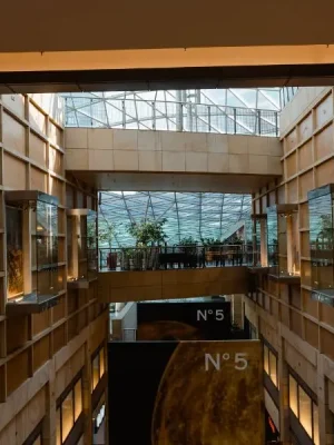 Professional Door Systems for Modern Commercial Spaces